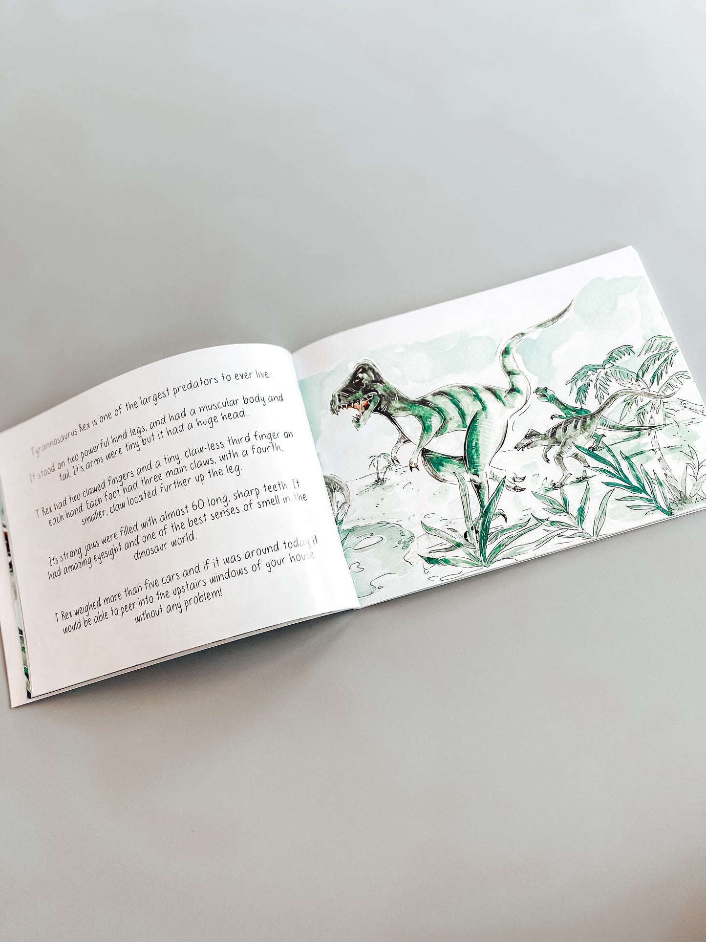 Aynor Sage Green Ribbed Onsie