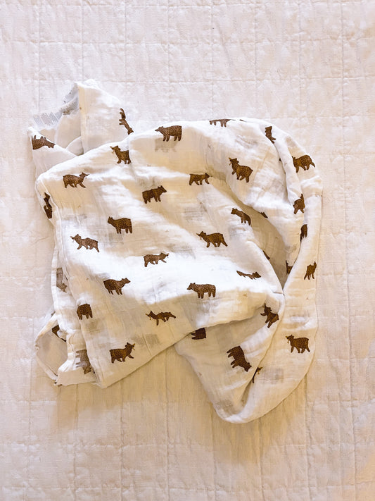 Bear Swaddle Blanket